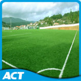 for Fifa Synthetic Grass Carpet for Soccer Mds60