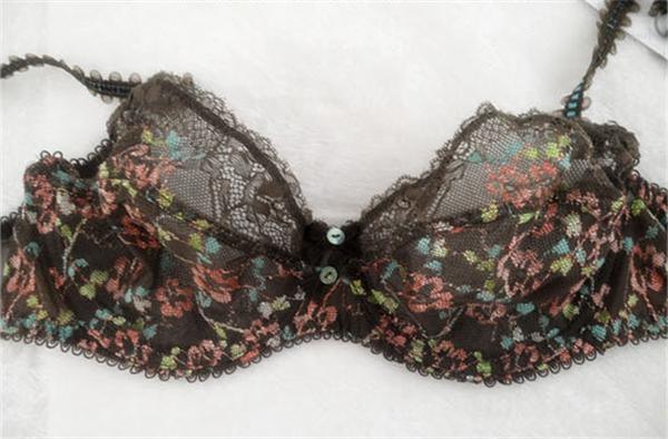 Factory Price Beautiful Sexy Lace Thin Cup Bra (EPB291)