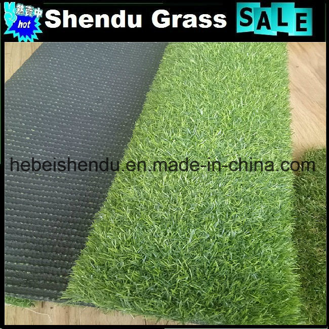 Grass Synthetic Carpet 20mm PE Monofilament