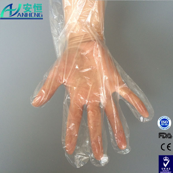 Disposable Poly PE Gloves Large, Food Grade, Food Preparation