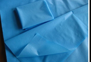 Economic Disposable PP Nonwoven Bed Sheet with CE/FDA/ISO Approved