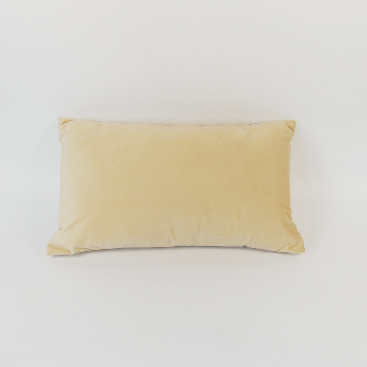 High Standard Eco-Friendly Rectangle Decorative Velvet Cushion Cover