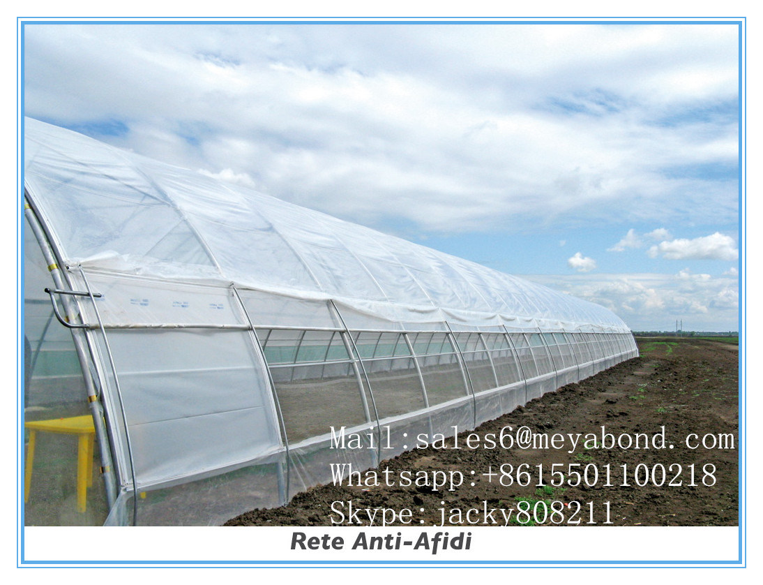 40 Mesh UV Treated HDPE Anti Insect Net for Greenhouse