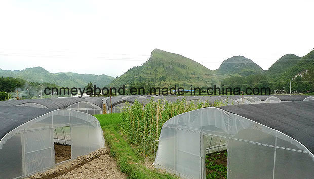 Orchard Netting Sun Shade Net Anti Insects