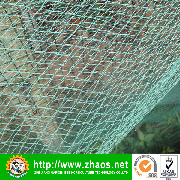 Manufacture Wind Proof Net for Agricultural
