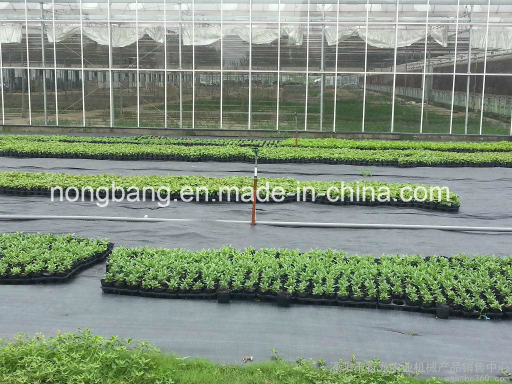 Four Colors PP Weed Control Fabric