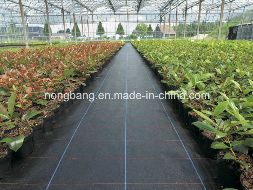 Anti-Aging PE/PP Weed Barrier Landscape Fabric