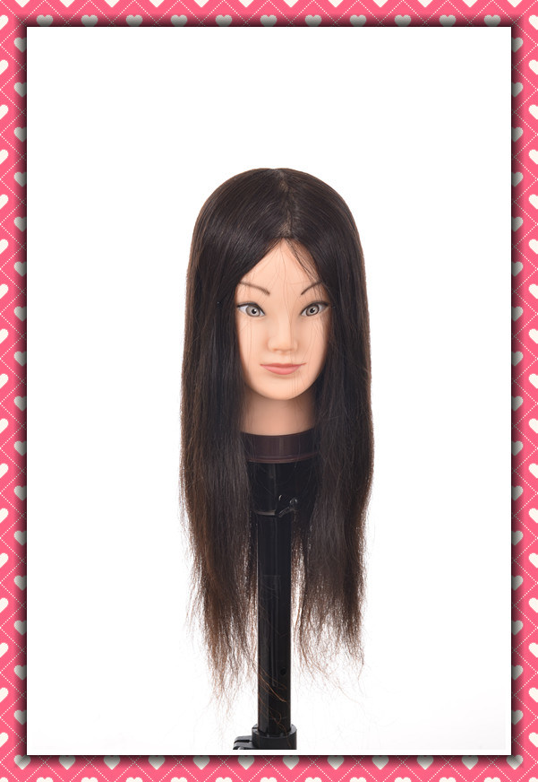 Mannequin Head Natural Human Hair Training Head 20inches for Style