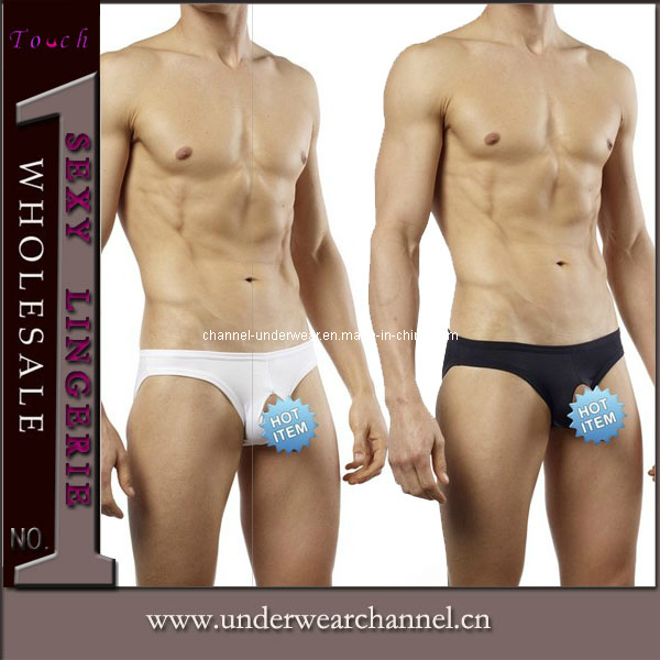 Wholesale Sexy Cotton Panty Briefs Men Underwear (TWLH004)