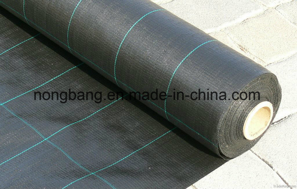 Safe Wholesale Plastic Weed Control Fabric