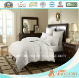 Home and Hotel Use Down Comforter White Goose Feather and Down Quilt