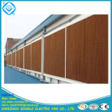 Poultry Farm Honeycomb Evaporative Cooling Pad /Wet Curtain