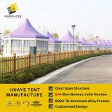 German Design Hexagonal Tent for Events (hy321b)