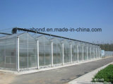 Best Sellling Top Quality 100% New HDPE 30~135g Anti Insect Net