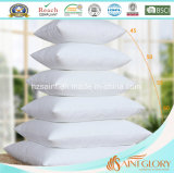 Customized Feather Down Cushion Inner