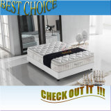 Mattresses for Beds (6813-1#)
