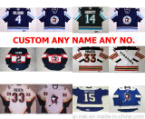 Ahl Wilkes Barre Scranton Penguins Nate Guenin Hockey Jerseys