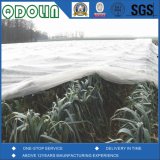 HDPE Insect Proof Net / Greenhouse Plastic Anti Insect Net