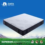 China Factory Hot Selling Furniture Sofa Mattress with High Quality