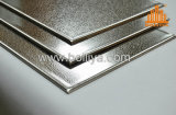 Sscm Panel for Faç Ade Curtain Wall Cladding Decoration