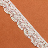 Fancy Embroidered Lace
