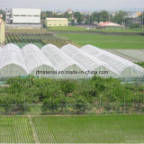 Agriculture Insect Prevention Mesh Insect Net