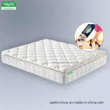 Pocket Spring with Foam Pillow Top Roll up Mattress (RP10)