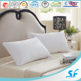 Oeko White Soft Eiderdown Pillow for Hotels