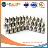 14*22, 13*22 Tungsten Carbide Buttons for Drilling Tools