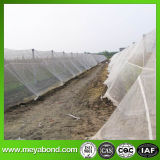 HDPE Transparent Agricultural Anti Insect Net/Own Insect Net for Agriculture