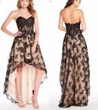 Lace Party Prom Dress Hi-Low Champagne Black Cocktail Evening Dress Ya126