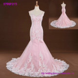 Pink Spaghetti Straps Bridal Dress A-Line Lace Tulle Wedding Dress