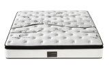 Pocket Spring Latex Mattress, Water Latex Mattress