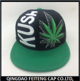 Hot Sale Custom Embroidery Fashion Cap