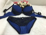 New Arrival Luxury Lace Bra and Panty (EPB153)