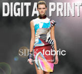 2017 Design of Textile & Digital Textile of Digital Print (X1041)