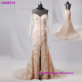 Backless See Champagne Color Long Sleeves Wedding Dress