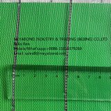 50 Mesh Anti-Insect Net in Greenhouse for Vegetable Plant