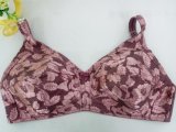 Russia Style Cotton Cup Large Size Bra (CS904)