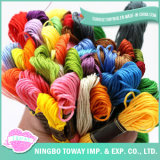 Textile Wholesale Wooly Nylon Polyester Embroidery Thread