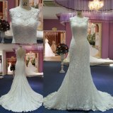 Elegant Mermaid Lace Evening Bridal Dresses Wedding Dress/Gown Mat-102