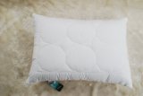 New Antioxidant Astaxanthin Pillow Made in China 2017