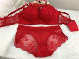 Lace Bra and Panty for Fashion Ladies