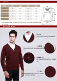 Yak Wool /Cashmere V Neck Pullover Long Sleeve Sweater/Garment/Clothing/Garment/Knitwear