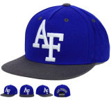 Fashion Design Snapback Flat Hats with Embroidery Logo