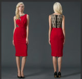 Latest Design Red Sexy Women Party Dress with Lace