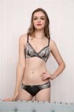 High Quality Women Panty and Bra with Elegant Lace (CS21128)