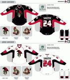 Customized American Hockey League Binghamton Senators Hockey Jersey