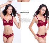 Wholesale High Quality Sexy Underwear Set in Stock