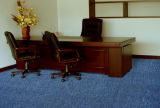 Tufted Plain Loop Pile Wall to Wall Carpet